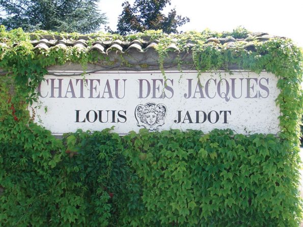 Château des Jacques 